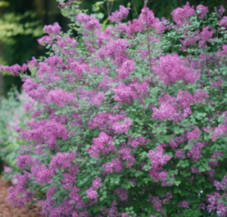 2025-10-02_09-58-54